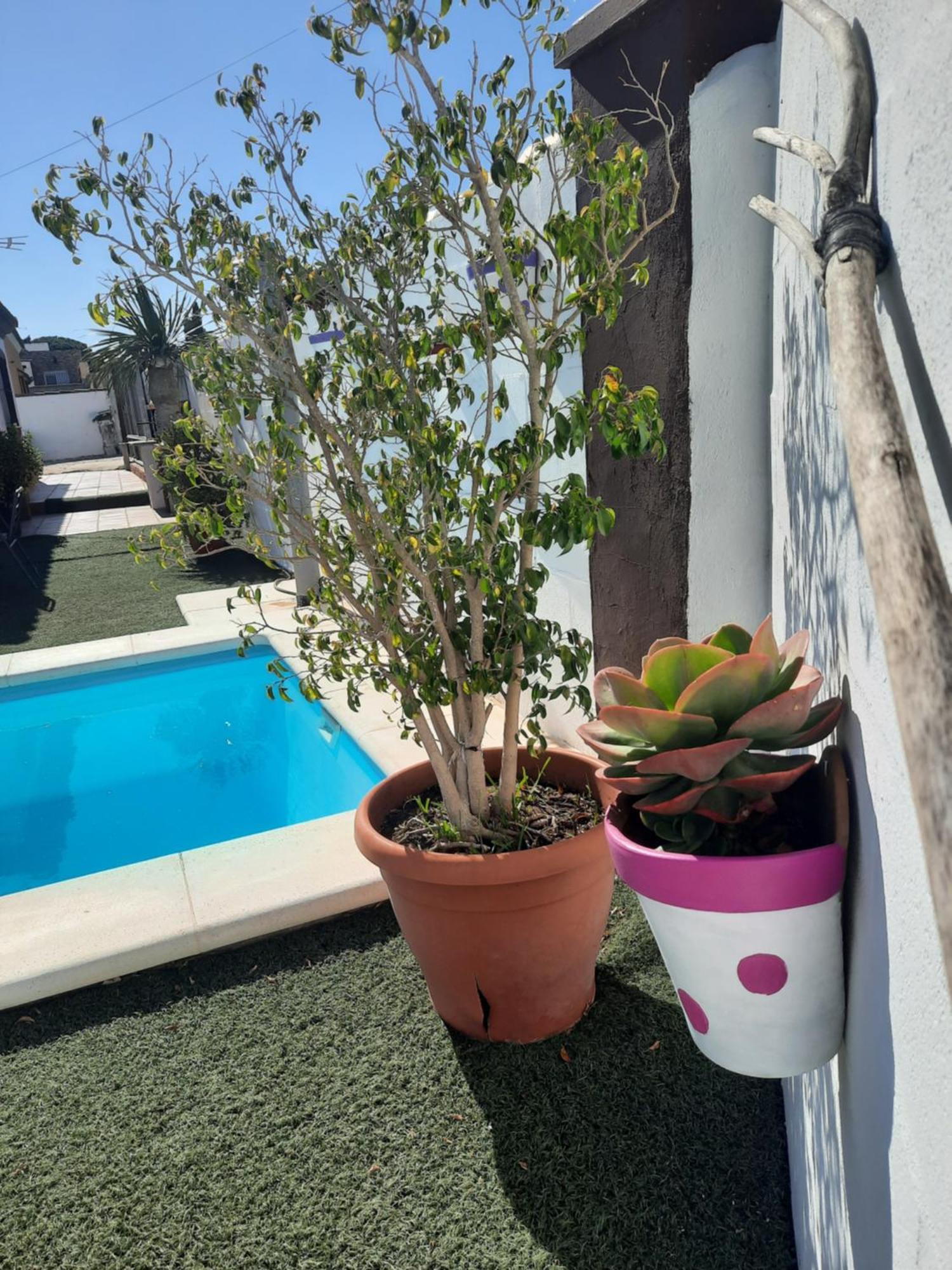 Willa Casa La Pepa Chiclana de la Frontera Zewnętrze zdjęcie
